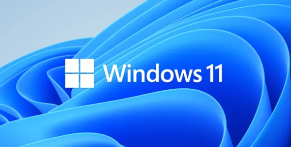 Windows 11恢复inetpub文件夹